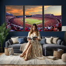 Dooley Stadium Wall Art, Sports Arena Canvas Print, Dooley