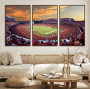 Dooley Stadium Wall Art, Sports Arena Canvas Print, Dooley by MyGreatCanvas | Canvas Wall Art Prints | Photo Prints & Wall Decor