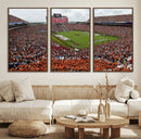Jordan-Hare Stadium Wall Art Canvas Print, College Sports by MyGreatCanvas | Canvas Wall Art Prints | Photo Prints & Wall Decor