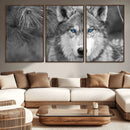 Wild Wolf Blue Eye Wall Art Canvas Print by MyGreatCanvas | Canvas Wall Art Prints | Photo Prints & Wall Decor