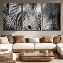 Wild Old Elephant Wall Art Canvas Print