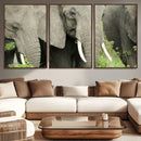 Wild Elephant Wall Art Canvas Print by MyGreatCanvas | Canvas Wall Art Prints | Photo Prints & Wall Decor