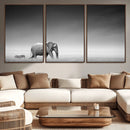 Elephand and Zebra Wall Art Canvas Print, Modern Artwork