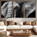 Big Elephant Close Up Wall Art Canvas Print