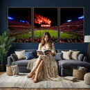 Auburn Stadium Wall Art Canvas Print, College Football Night