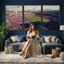 Donald W. Reynolds Razorback Stadium Wall Art Canvas Print –