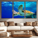 Sea Turtle Wall Art Canvas Print, Sea life in the Ocean Wall
