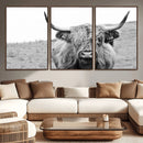Newfoundland Cow Art Wall Art, Black White Cow Art Wall Art