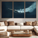 Swimmer Wall Art Canvas Print