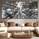 Trees Contemporary Art Canvas Print by MyGreatCanvas | Canvas Wall Art Prints | Photo Prints & Wall Decor