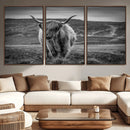 Fluffy Cattle Wall Art Print, Highland Cow Canvas, Framed by MyGreatCanvas | Canvas Wall Art Prints | Photo Prints & Wall Decor