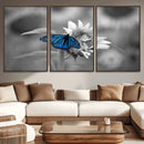 Blue Butterfly Black and White Canvas Wall Art by MyGreatCanvas | Canvas Wall Art Prints | Photo Prints & Wall Decor
