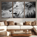 Lion Wall Art Canvas Print – Framed Majestic Wildlife by MyGreatCanvas | Canvas Wall Art Prints | Photo Prints & Wall Decor