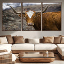 Texas Longhorn Canvas Wall Art - Longhorn Steer Canvas Wall by MyGreatCanvas | Canvas Wall Art Prints | Photo Prints & Wall Decor