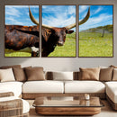 Longhorn and Cow Wall Art, Country Cow Wall Decor Canvas by MyGreatCanvas | Canvas Wall Art Prints | Photo Prints & Wall Decor