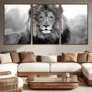 Black and White Lion Canvas Wall Art – Animal Print Artwork