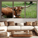 Longhorn Steer Canvas Wall Art – Rustic Nature Triptych