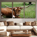 Longhorn Cow Animal Wall Art Canvas Print by MyGreatCanvas | Canvas Wall Art Prints | Photo Prints & Wall Decor