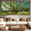 Majestic Oak Tree Wall Art – Serene Nature Canvas Print with