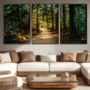 Sunlit Forest Pathway Canvas Print | 3 Panel Large Nature by MyGreatCanvas | Canvas Wall Art Prints | Photo Prints & Wall Decor