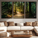 Natural Landscape Wall Art Relaxing Forest Canvas Print