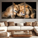 Lion and Lioness Wall Art Canvas Print – Framed African