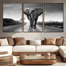 Black and White Elephant Wall Art Canvas Print