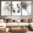 White Horse Wall Art Animal Canvas Print