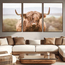 Scottish Serene Highland Cow Canvas Wall Art – Serene