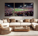 Mississippi State Bulldogs Stadium Wall Art Canvas Print –