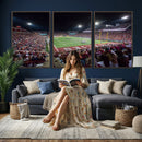 Washington-Grizzly Stadium Canvas Print, American Football