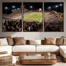 Washington-Grizzly Stadium Canvas Wall Art – Exciting Game