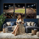 Washington-Grizzly Stadium Canvas Wall Art – Exciting Game