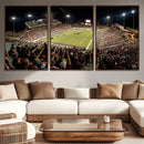 Washington-Grizzly Stadium Canvas Print, American Football