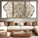 Abstract Wood Tree Ring Wall Art - Ready to Hang Minimalist