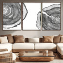 Abstract Large Tree Rings – Minimalist Black and White Wood