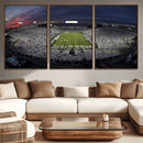 Penn State University Nittany Lions Football Team Print -