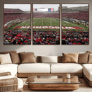 Wisconsin Badgers Team Print Canvas - Madison Camp Randall