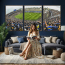 Boca Juniors Soccer Team Print Wall Art - Buenos Aires
