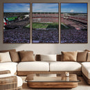 South Carolina Gamecocks Football Team Print - Columbia