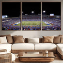 Buffalo Bills Wall Art - Buffalo Bills Stadium Canvas Print,