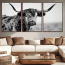 Texas Cow Longhorn Wall Art Canvas Print in Black and White