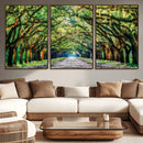 Serene Tree Tunnel Wall Art Canvas Print – Pathway Under