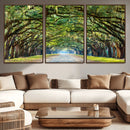 Wormsloe State Plantation Driveway Wall Art Canvas Print