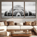 Resting Grizzly Bear Wall Art Canvas Print – Majestic Lazy by MyGreatCanvas | Canvas Wall Art Prints | Photo Prints & Wall Decor
