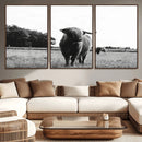Black and White Highland Cow Wall Art Canvas Print | Rustic