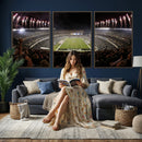 Eagles Field Stadium Wall Art - Philadelphia Eagles Football