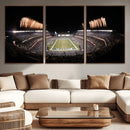 Eagles Field Stadium Wall Art - Lincoln Financial Field