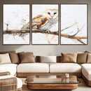 Barn Owl Wall Art on Branch | Stunning Canvas Print for