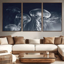 Jellyfish Wall Art Canvas Print, Modern Abstract Jellyfish